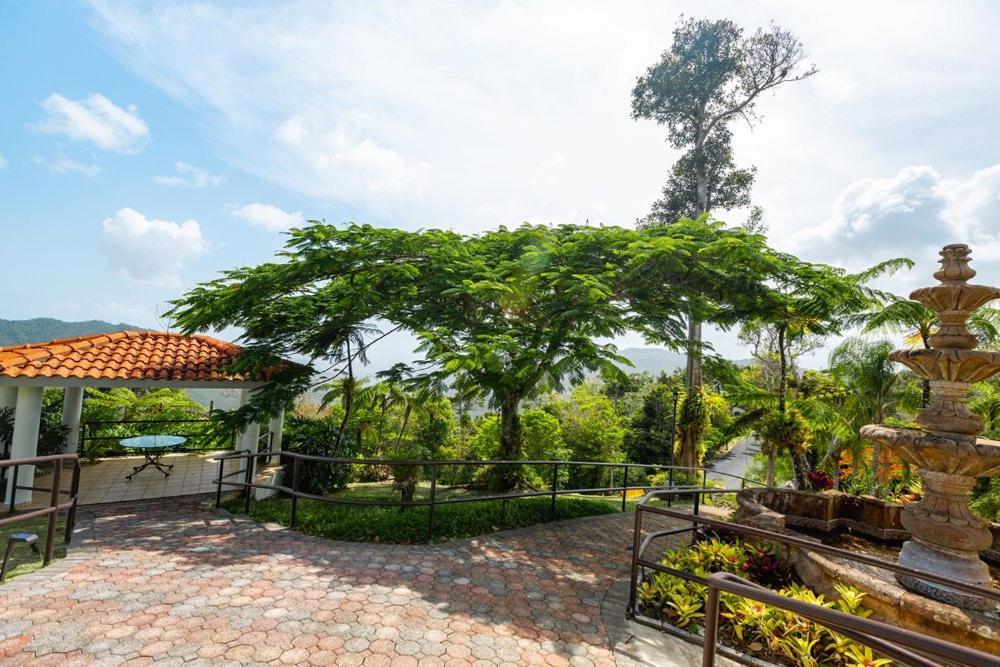 Jajome Terrace Hotel Cayey Exterior photo